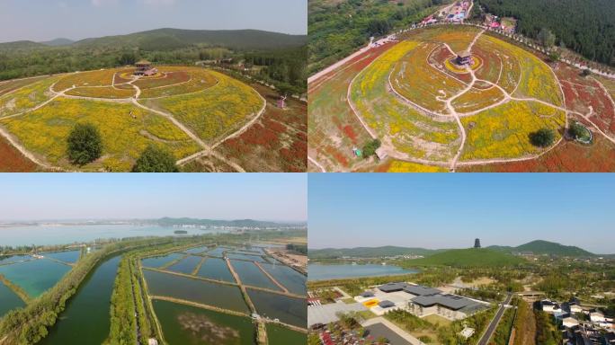 吕梁风景 花海 吕梁湖 黄河观光带