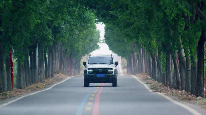 森林公园自驾游坦克越野车绿荫公路行驶