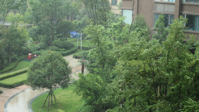 下雨 暴雨 小区下雨