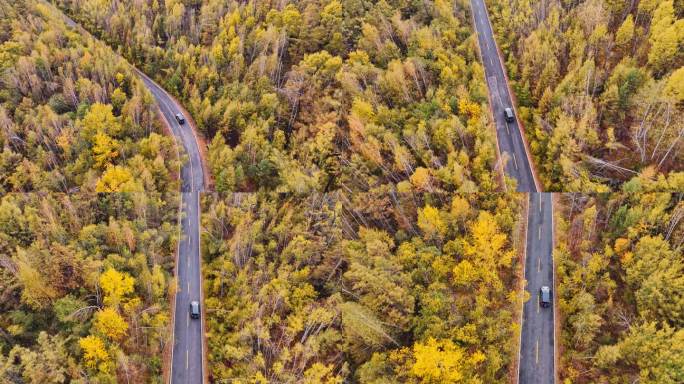 秋天大兴安岭的森林公路