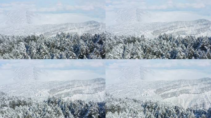 航拍峨眉山山谷雪景