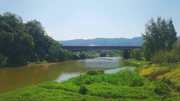 重庆大磨滩湿地公园湖畔自然风光