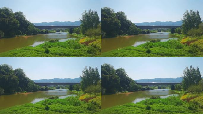 重庆大磨滩湿地公园湖畔自然风光