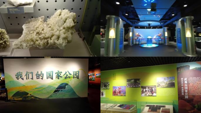 中国地质博物馆 展览