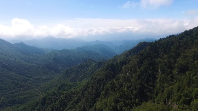 中国秦岭生态航拍