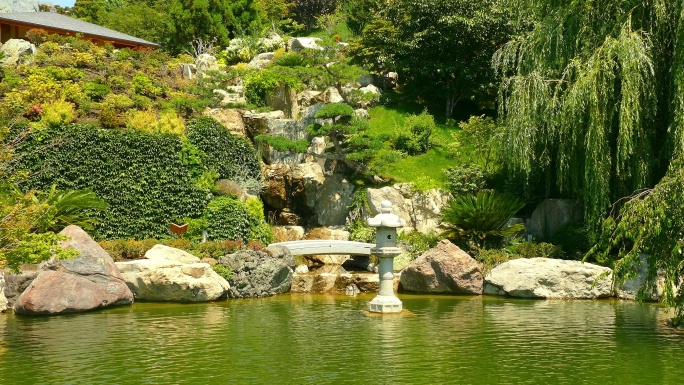 美丽的日本花园景观-湖边绿意盎然的房子