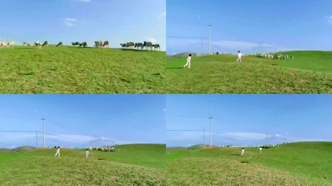 在草原上奔跑追羊的少年释放童年原生态草原