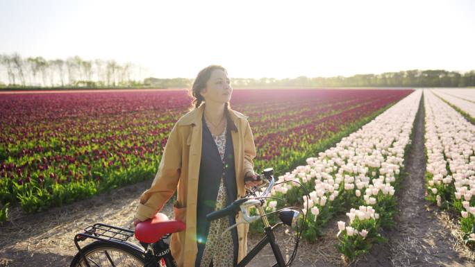 荷兰郁金香地上骑自行车的女人