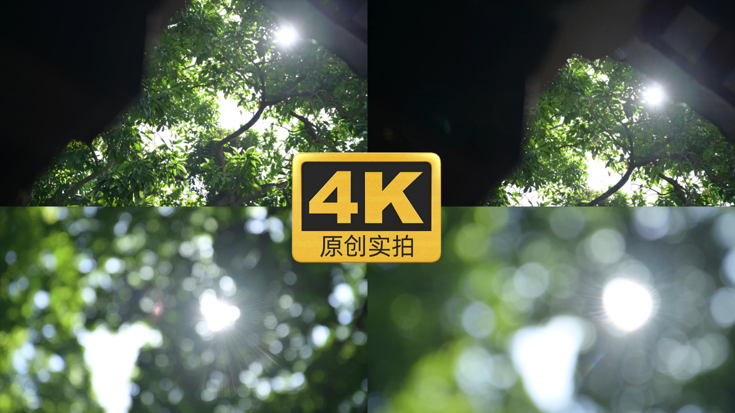 【4K原创实拍】阳光透过树叶眩光光斑