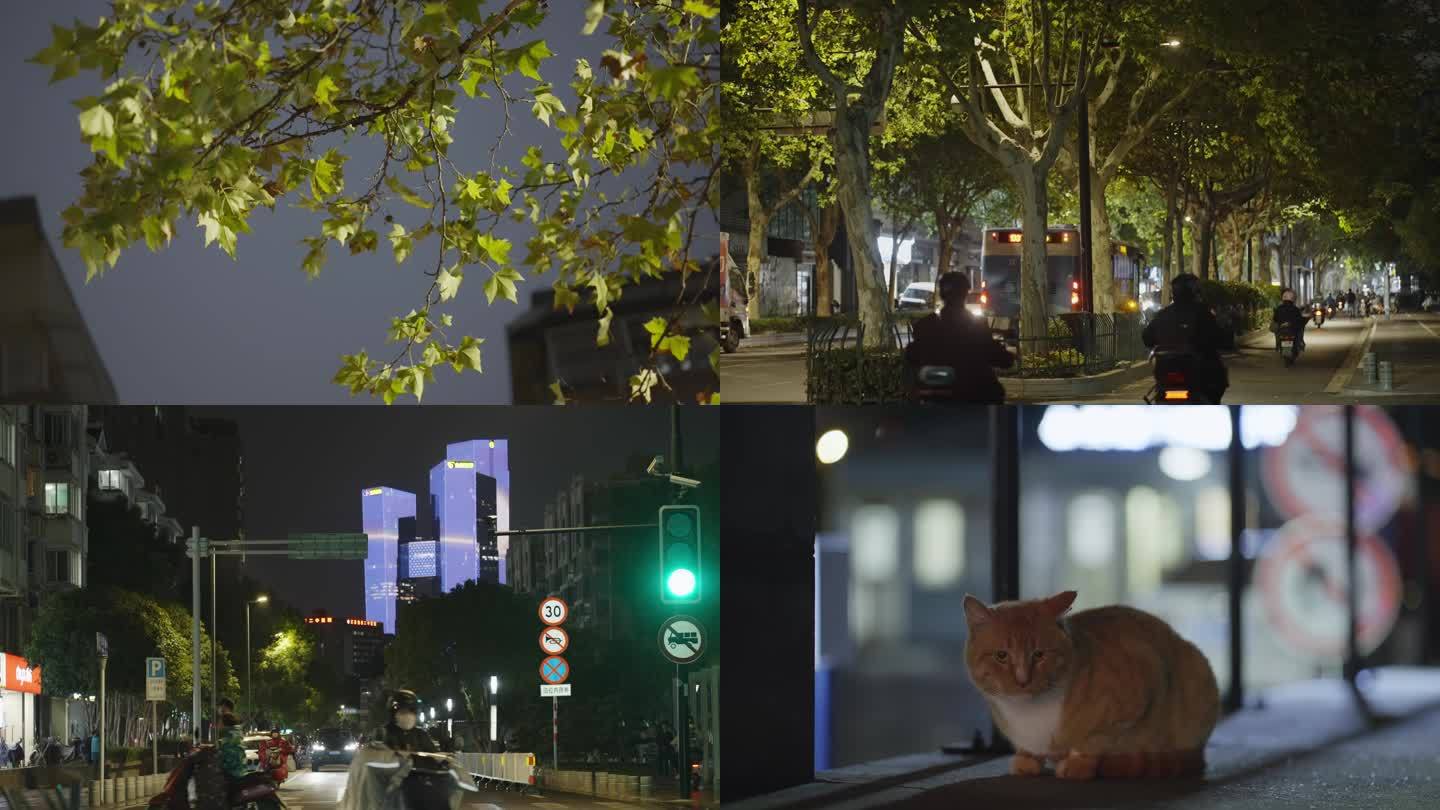 【4K50P】城市夜景街头氛围
