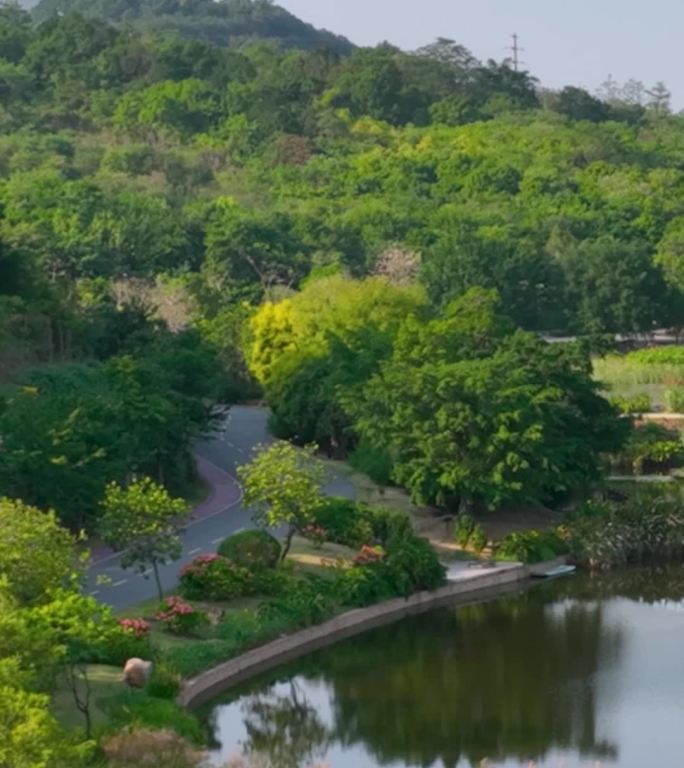 高清竖屏航拍南宁青秀山莫奈花园秋景