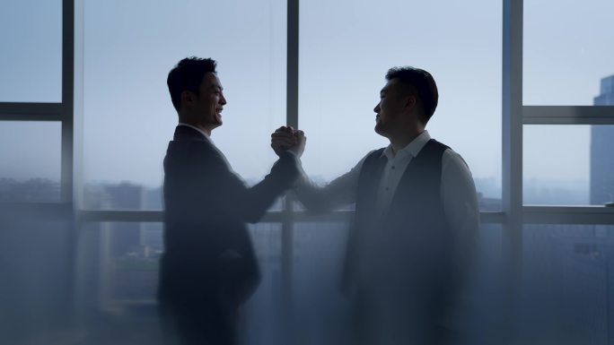 握手 握拳 商务合作 商务镜头 相互成就