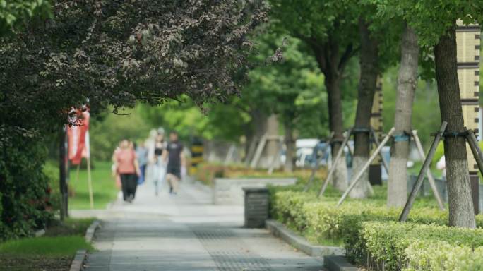 道路车流反腐廉政警示教育空镜