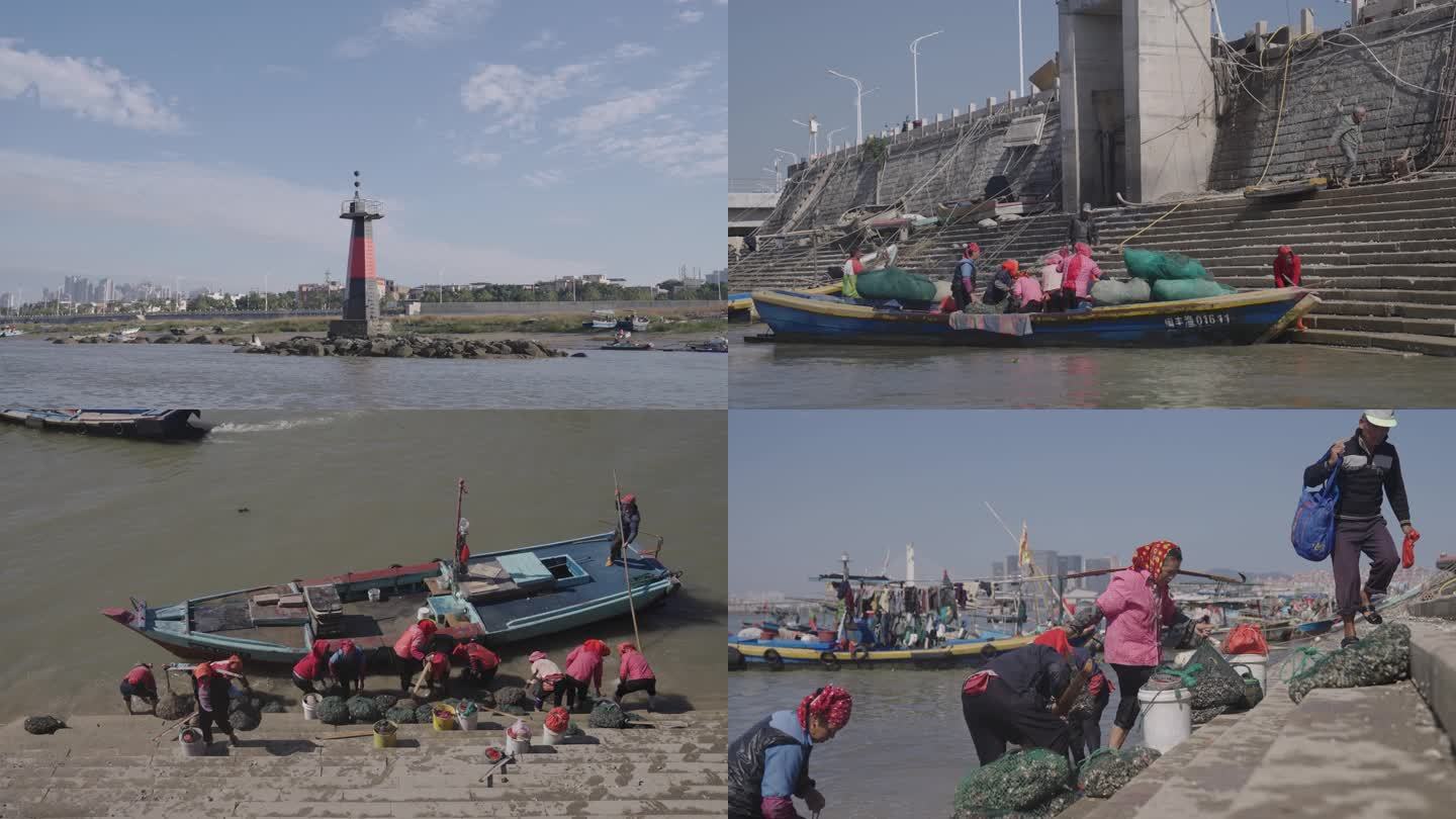 浔埔村  蟳埔女 出海归来 上岸