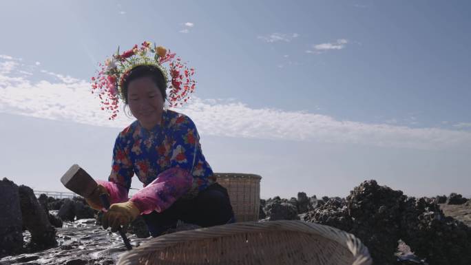 浔埔村 海蛎田 蟳埔女 开心