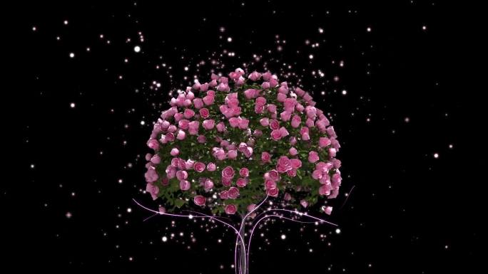 玫瑰花树旋转歌曲节目背景视频