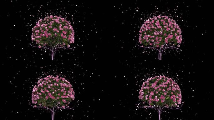 玫瑰花树旋转歌曲节目背景视频