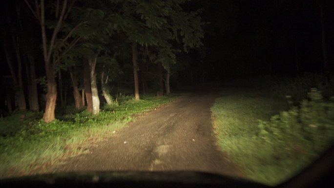 雨林中的夜间乡村道路