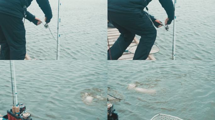 渔夫钓到一条大鳟鱼。