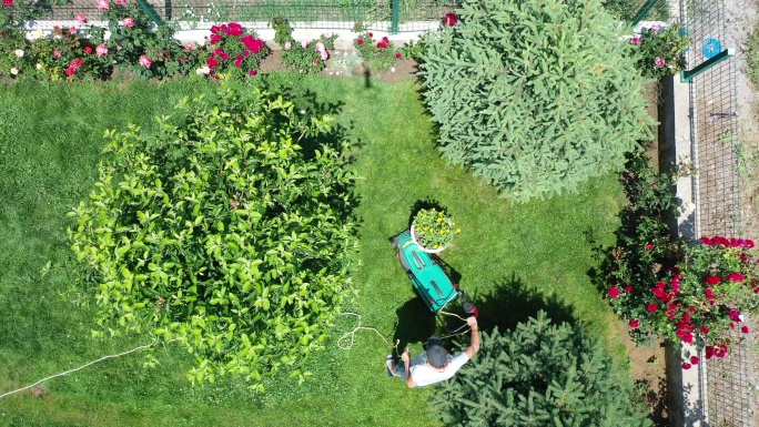 妇女用电动割草机在后院割草的鸟瞰图