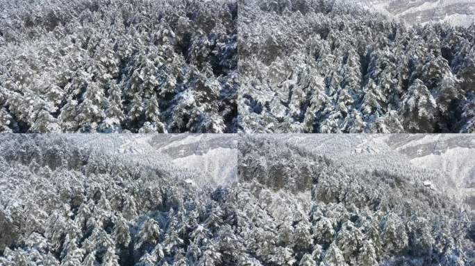 航拍峨眉山山谷雪景