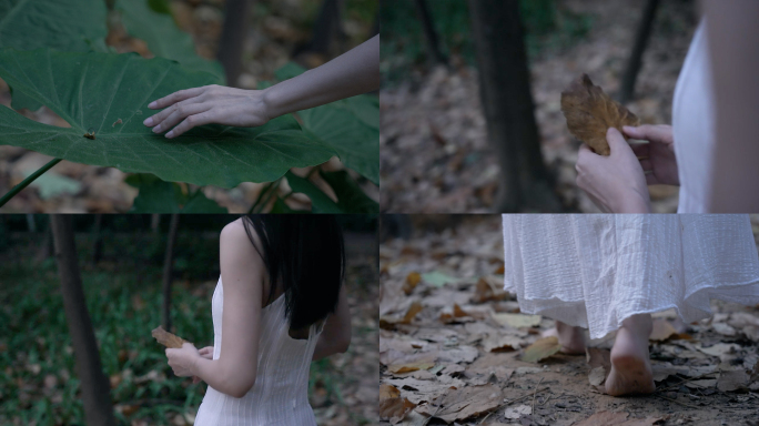 穿着白色长裙的女孩在树林落叶上行走4k