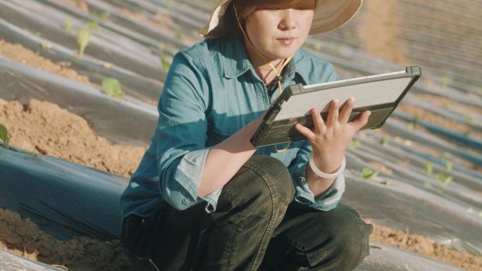 Farmer在她的农场Smart Farming使用数字平板电脑和监控