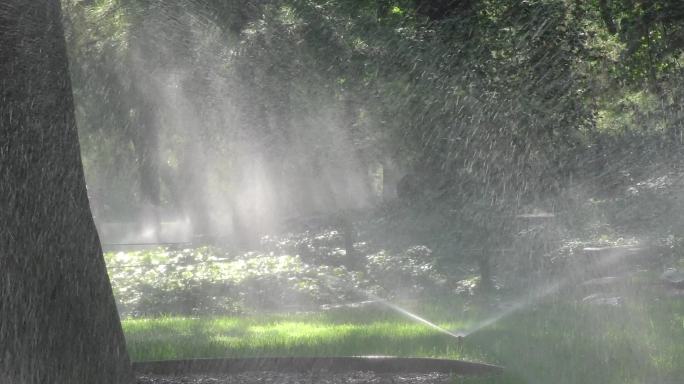 树林阳光灿烂浇水绿色家园喷灌技术节水型