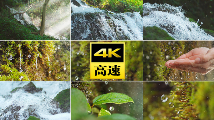 水青苔山泉水流水滴水风景森林自然大自然水