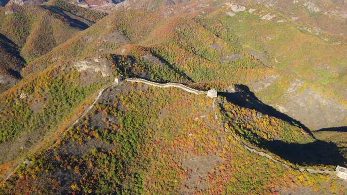 航拍10月秋季长城秋色万山红遍层林尽染