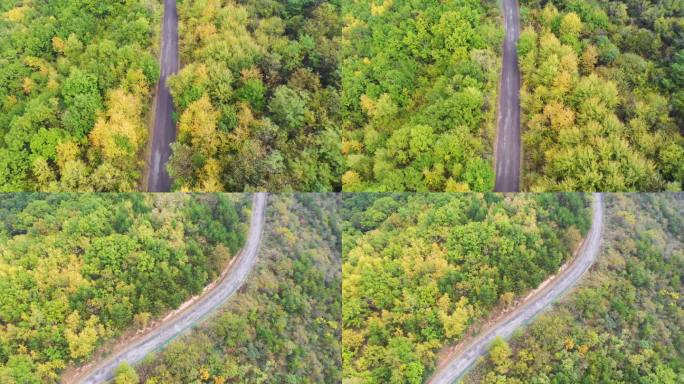 田间道路