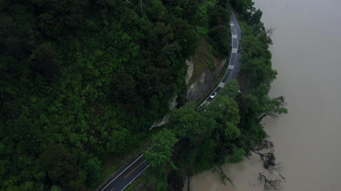 航拍雨雾天的波密岗云杉林风景