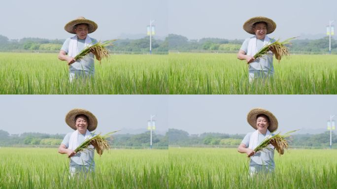 农民幸福的笑