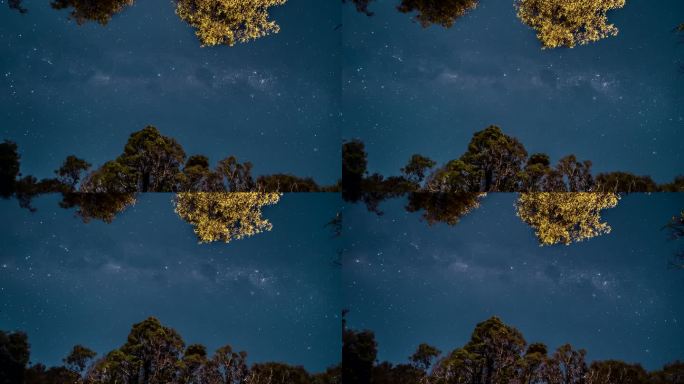 银河夜空-树梢上方
