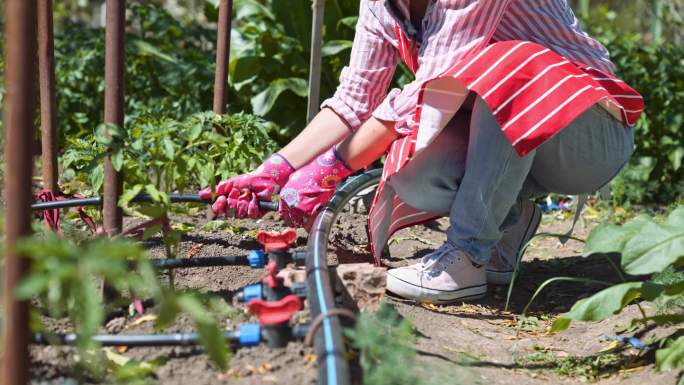 女人在菜园里做灌溉系统。可持续性和水资源保护。