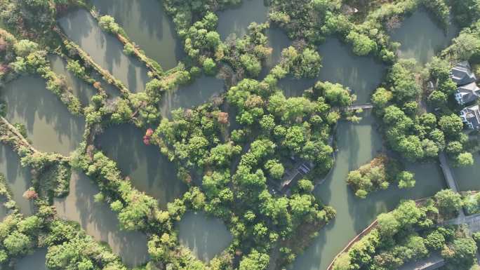 浙江省杭州市西溪湿地清晨日出航拍御三4k