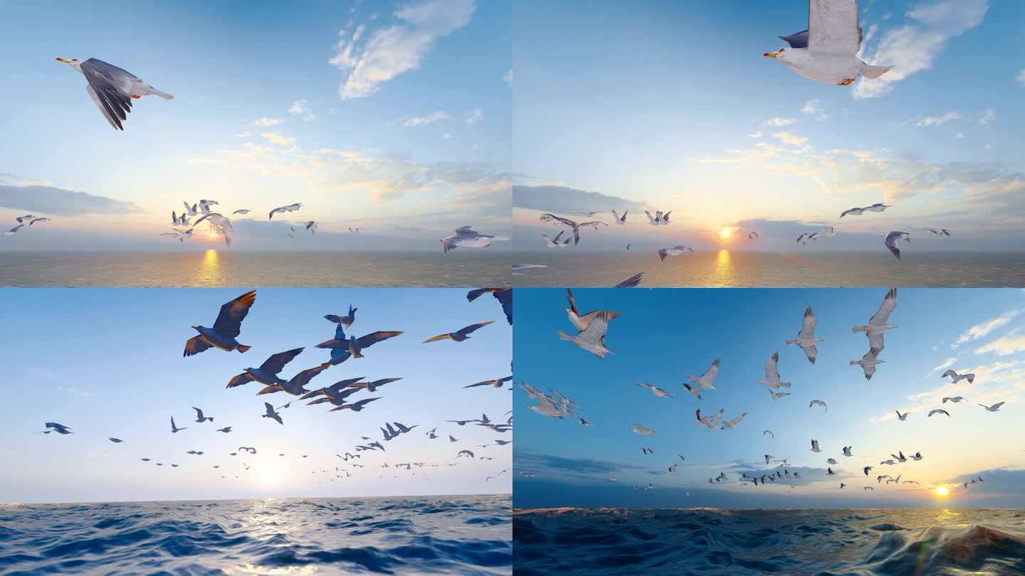4K 夕阳下飞翔的海鸥群慢动作摄影