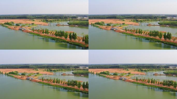 曹县黄河故道国家湿地公园
