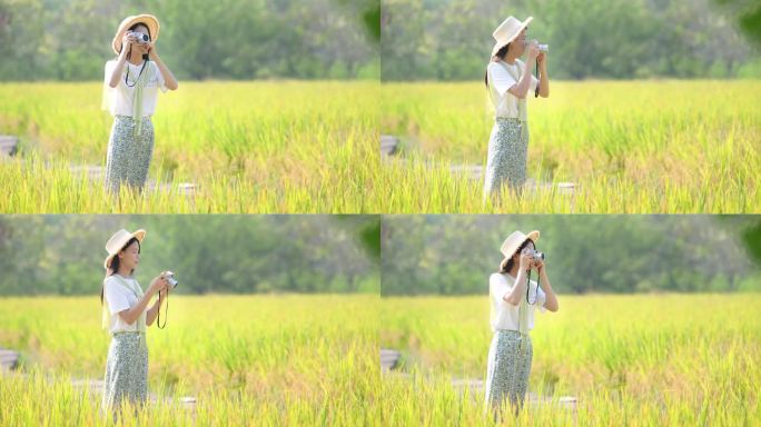 4K秋天金色稻田里拍照的少女