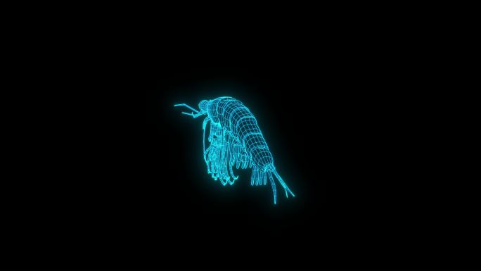 蓝色全息线框南极磷虾动画素材带通道