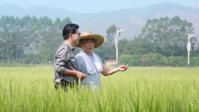 生态农业种植