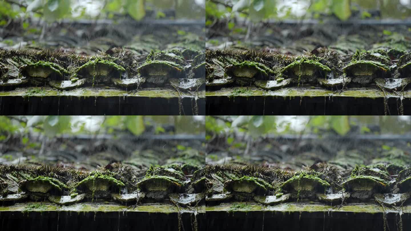 江南烟雨，屋檐细雨话离别