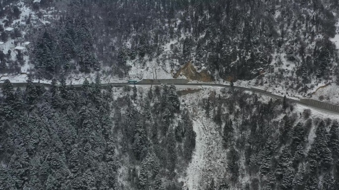 航拍西藏林芝大雪纷飞的鲁朗林海