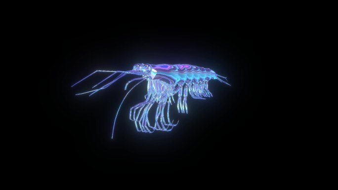 全息元宇宙赛博朋克南极磷虾动画素材带通道