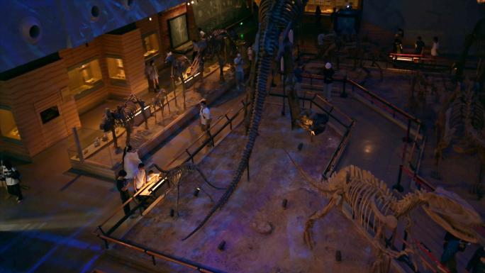【4K原创实拍】广东博物馆恐龙化石模型
