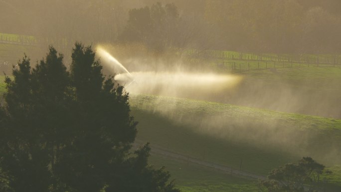 新西兰农田的作物灌溉