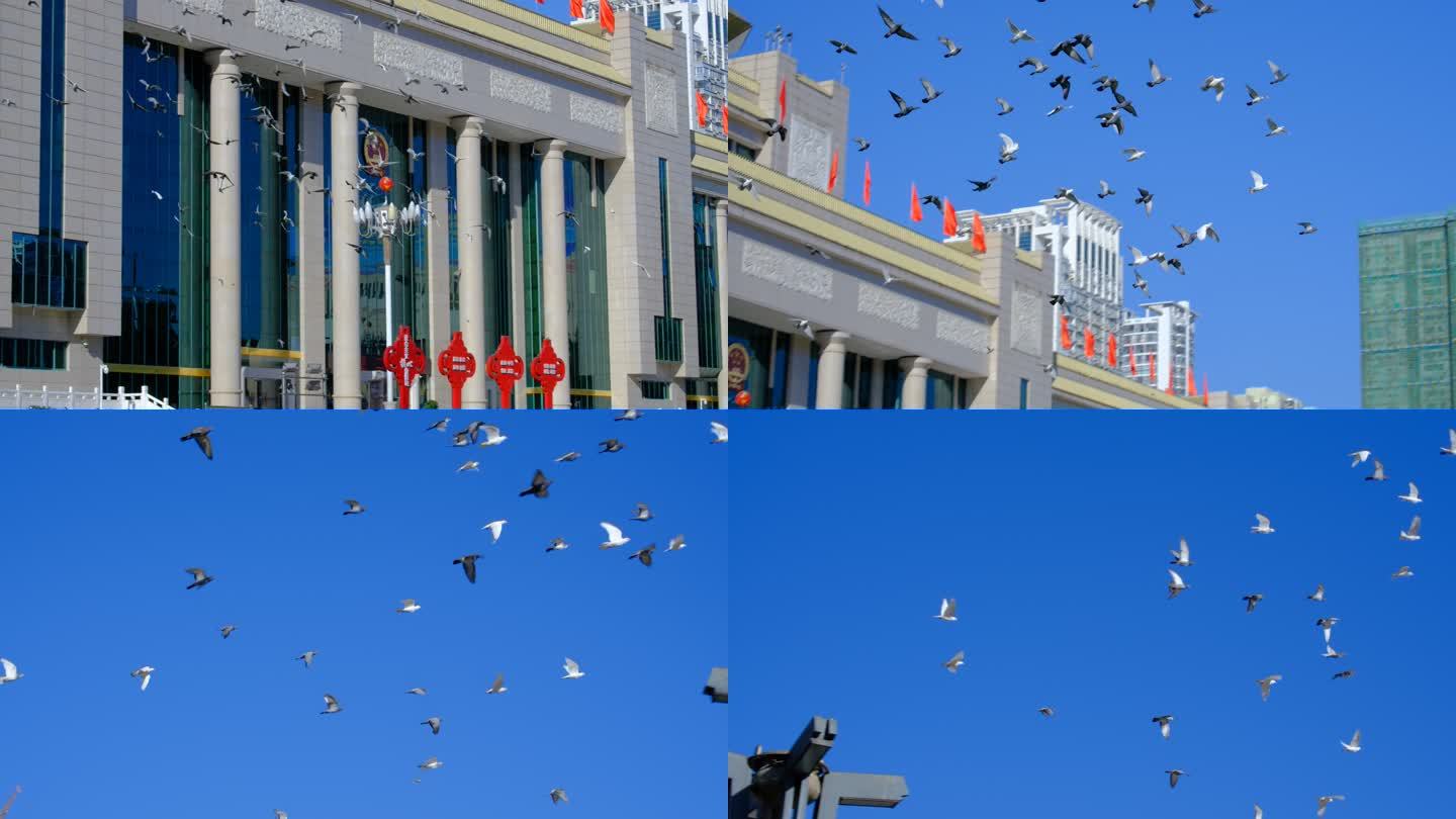 广场天空飞过一群鸽子