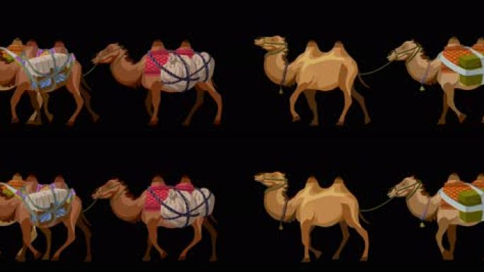 骆驼  沙漠骆驼 骆驼商队
