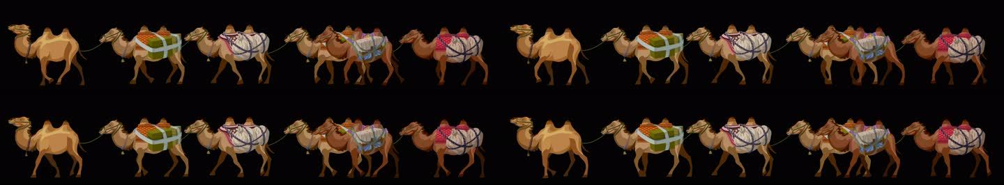 骆驼  沙漠骆驼 骆驼商队