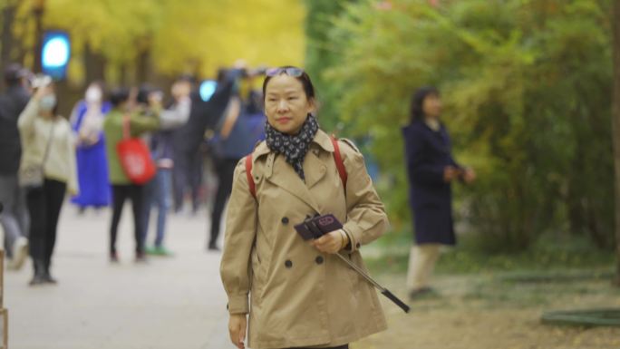 圆明园银杏大道的游客